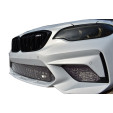BMW M2 Competition (F87) - Front Grille Set